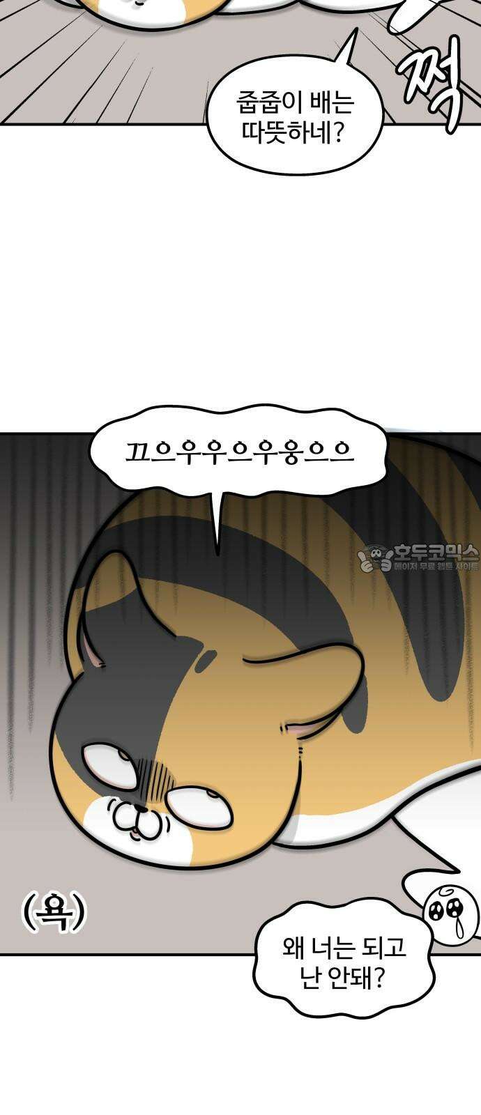 노곤하개 쇼츠 형제라는 것 15