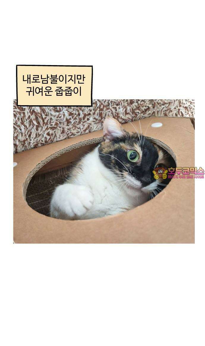노곤하개 쇼츠 형제라는 것 16