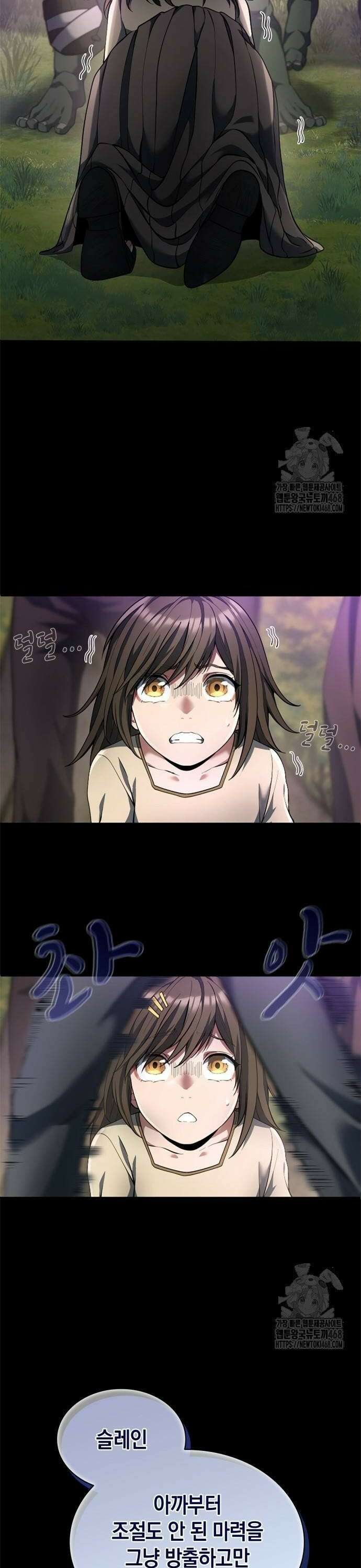 회귀 대마도사의 근접 마법 무쌍 44화 세츠나의 과거 (도약) 30
