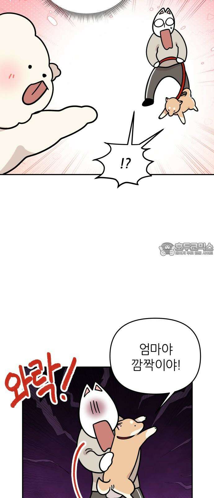 시바, 만만치 않다 30화 길에서 만난 강아지 3