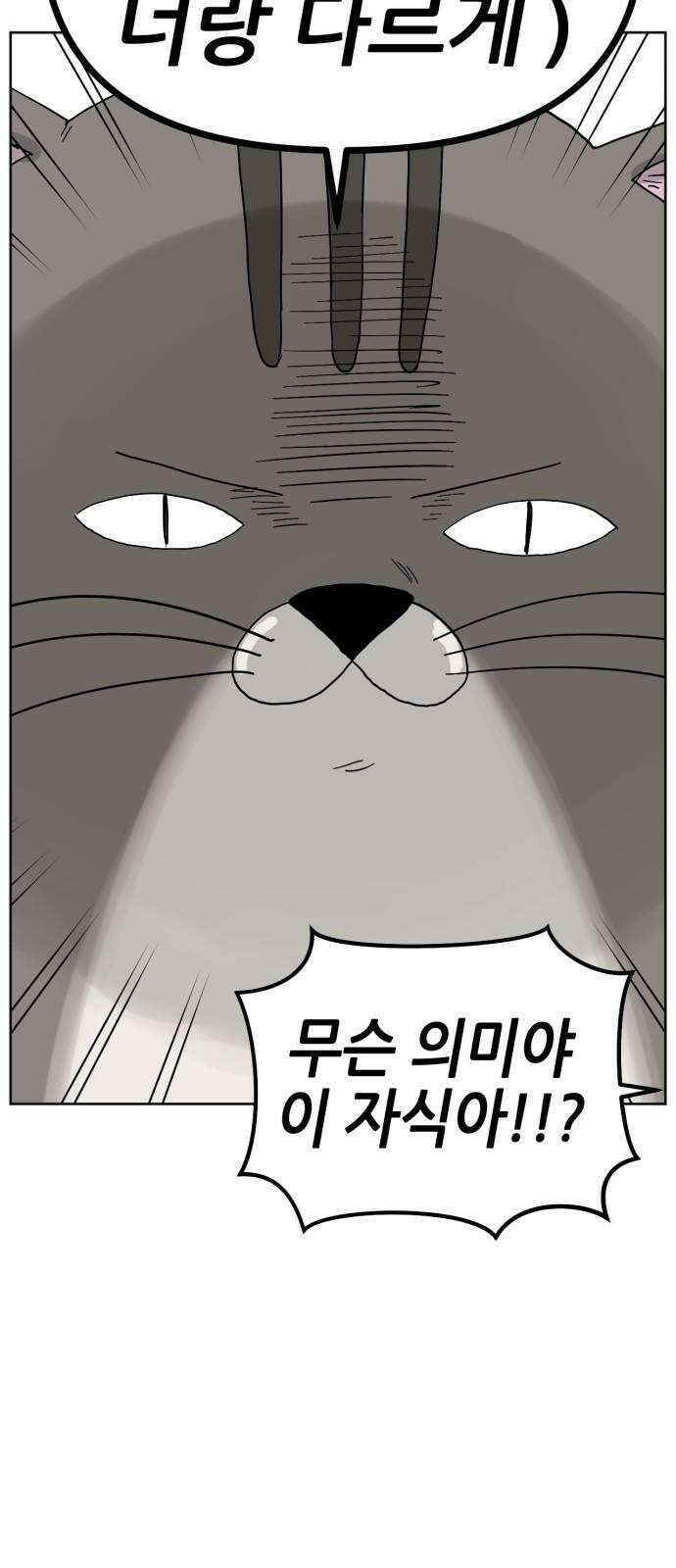 괴양이 81화 근춘문예 上 41