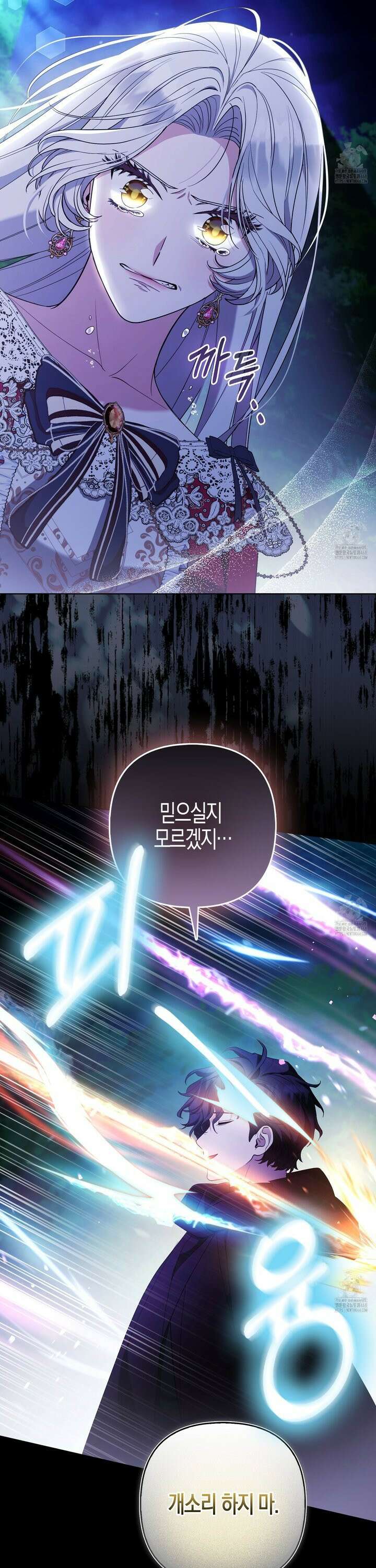 대공가의 여우 황녀님 67화 22