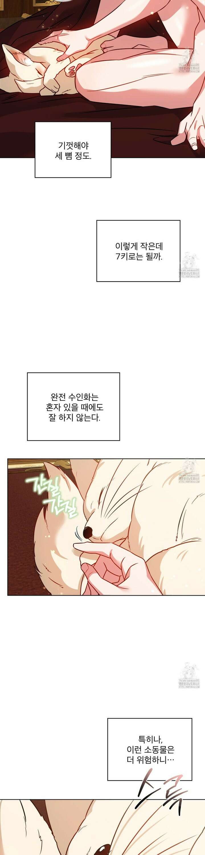 플린의 여우음료 36화 6