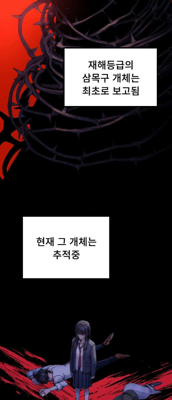 크립티드 22. 무명대로 (12) 19