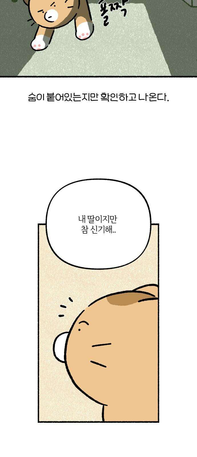 천재, 만재, 백재! 11화 주말의 할 일 11