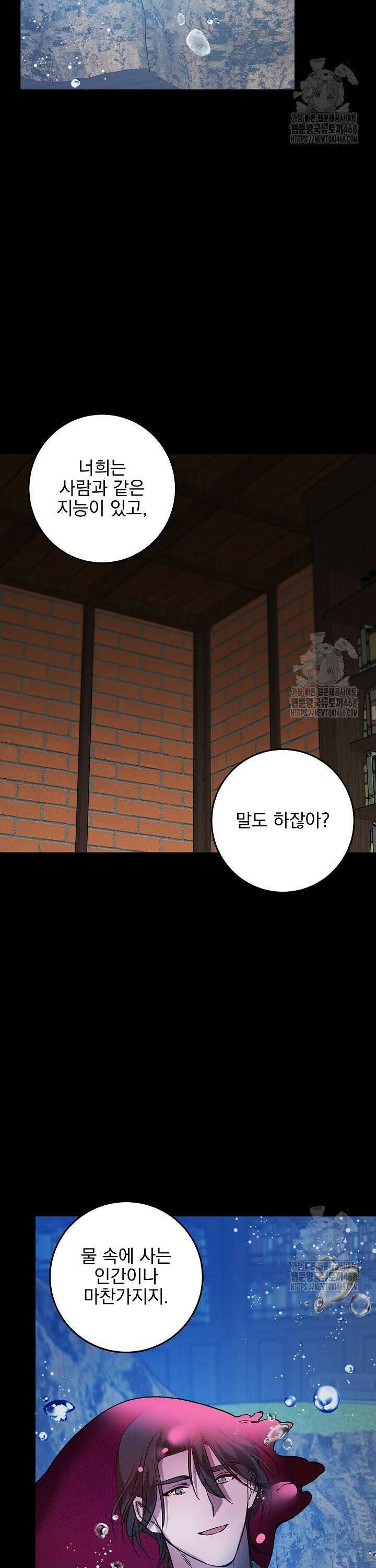인어 도련님 기록일지 9화 2