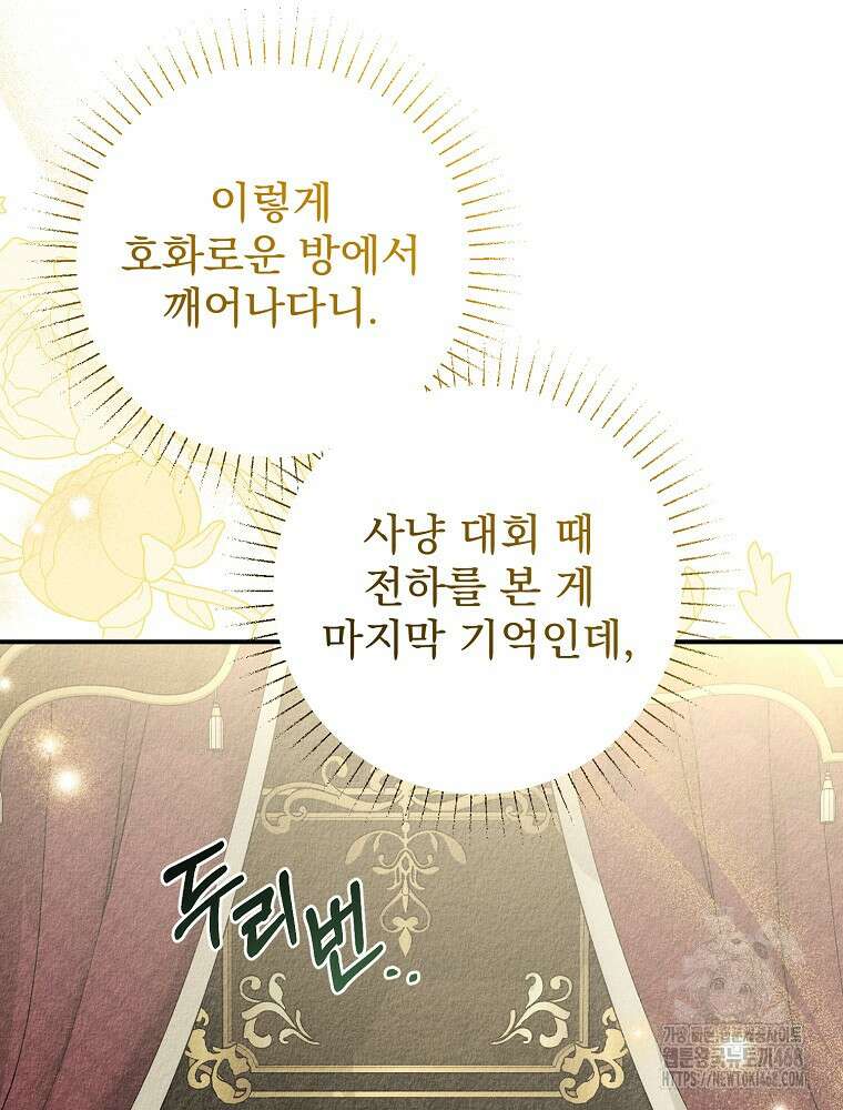 알리사와 마법일기 40화 46
