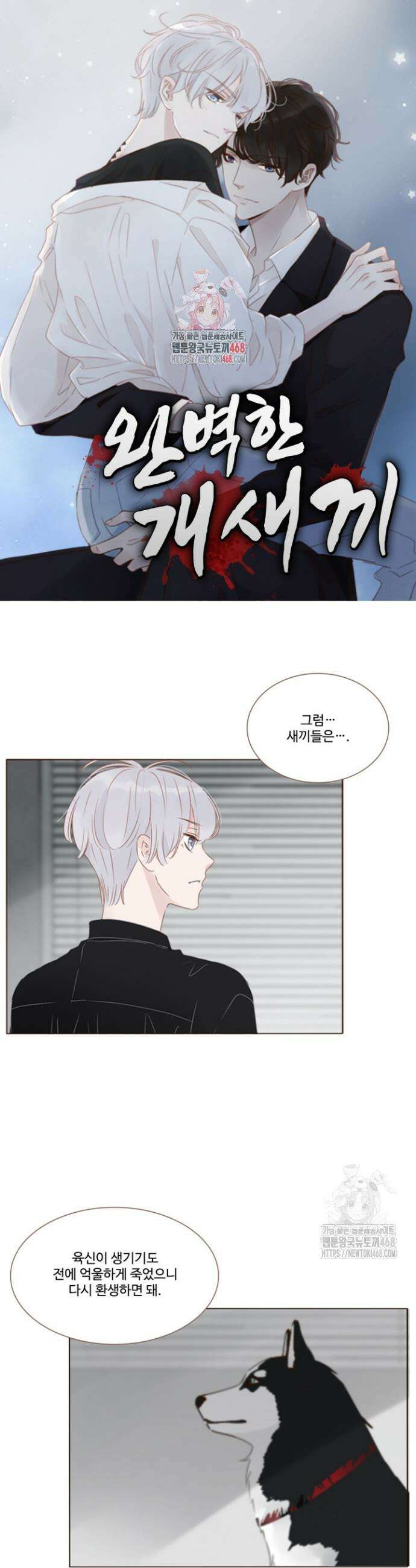 완벽한 개새끼 78화 1