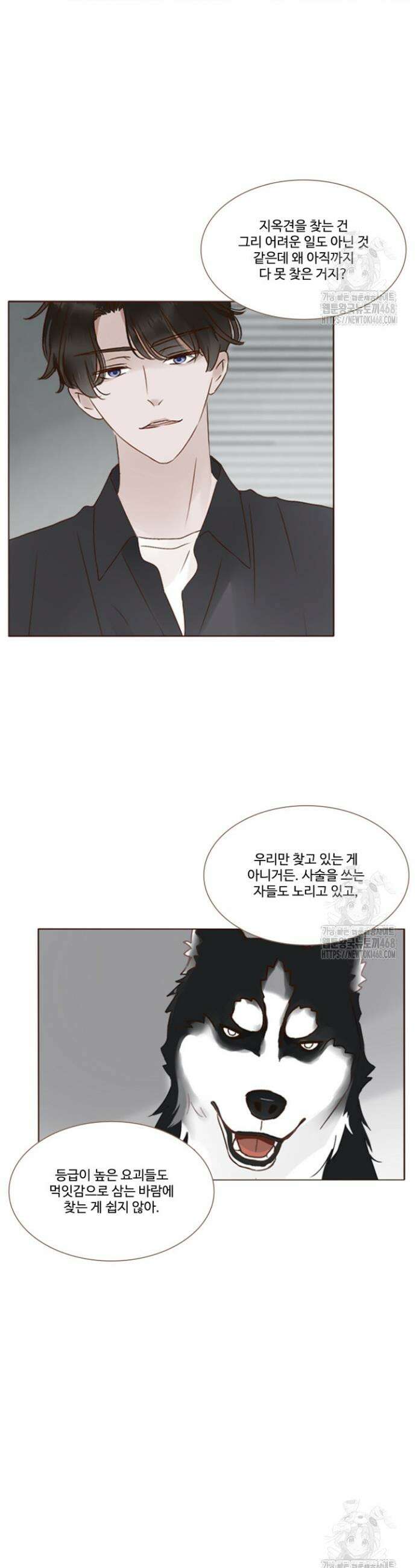 완벽한 개새끼 78화 2