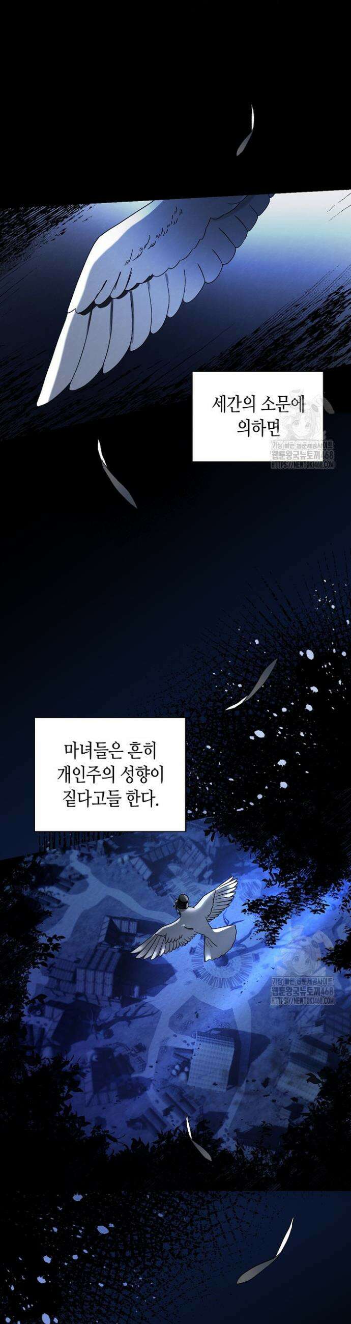 새를 잊은 마녀에게 프롤로그 14