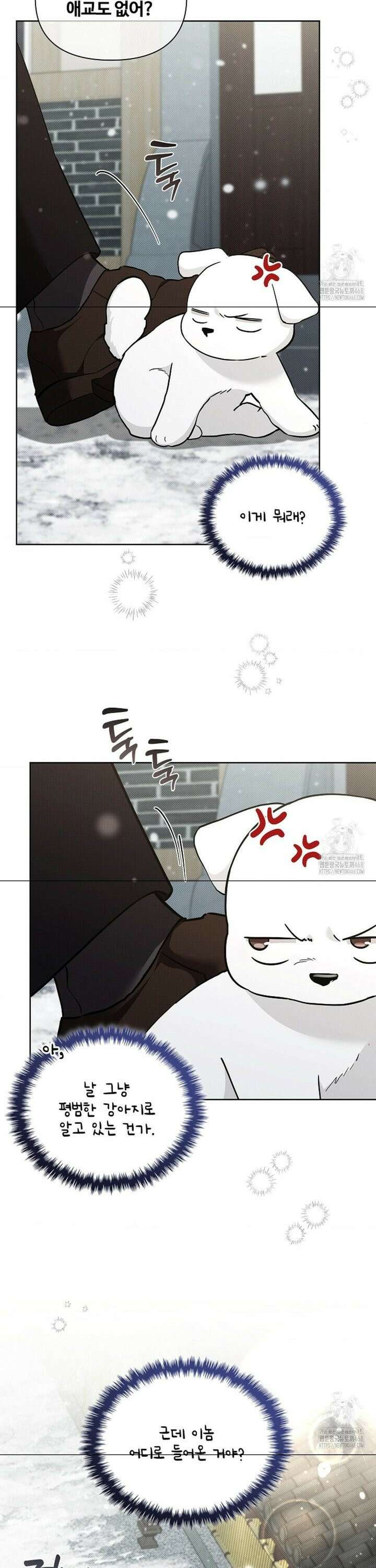 강아지는 건드리지 마라 36화 3