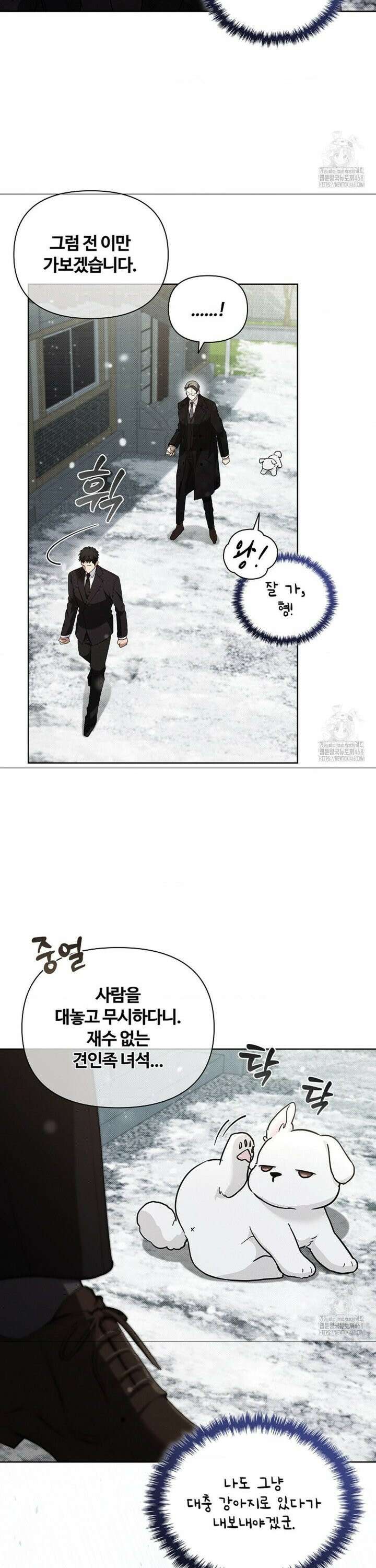 강아지는 건드리지 마라 36화 6