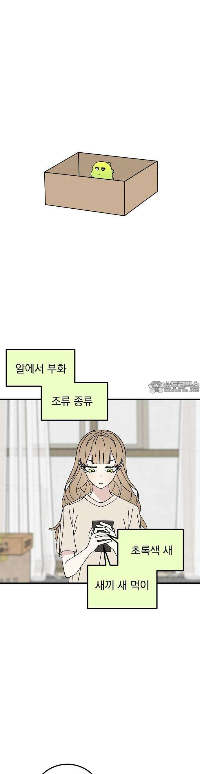 티라노 노경수 2크아앙 18