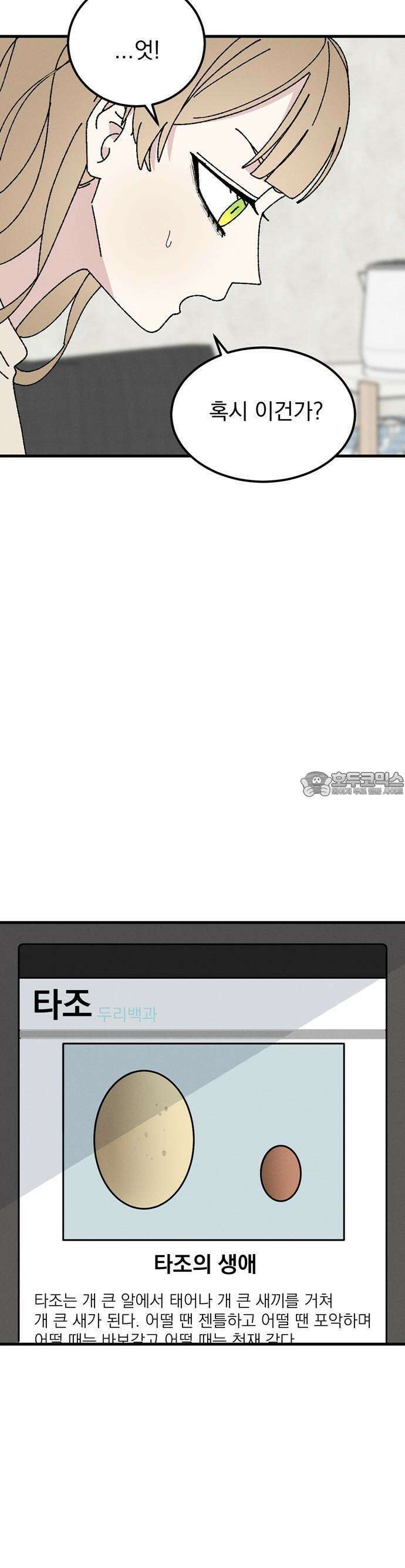 티라노 노경수 2크아앙 19