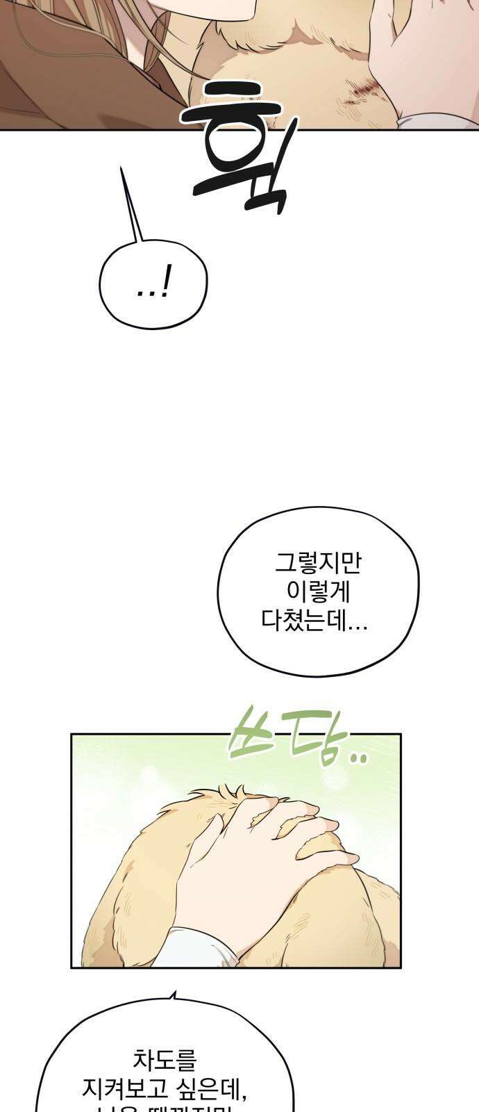 트럭기사 태그배 경 17화 - 드디어 이 만화에도 로맨스가．．． 43
