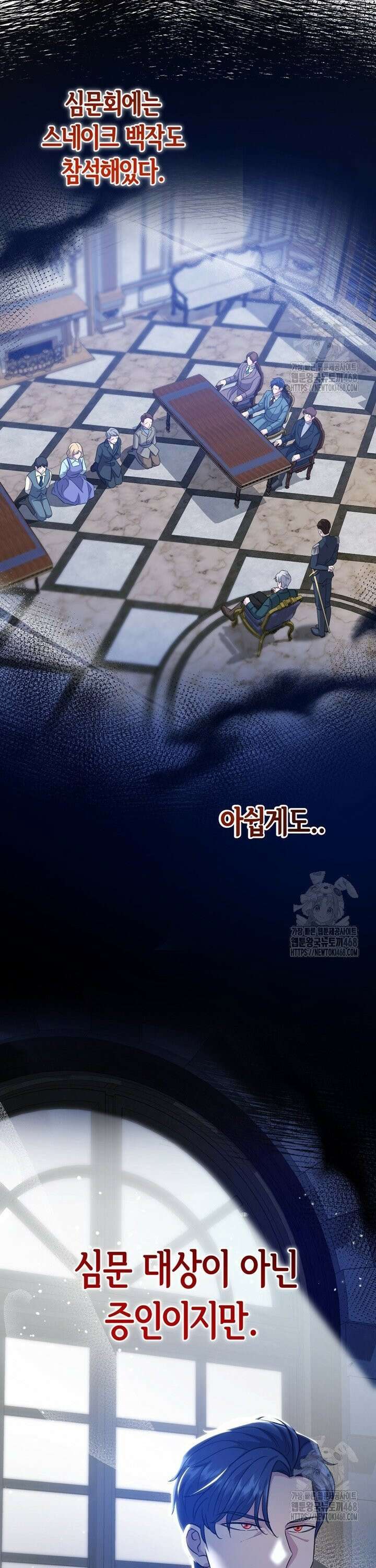 몰락한 왕녀에게는 회귀가 필요합니다 14화 3