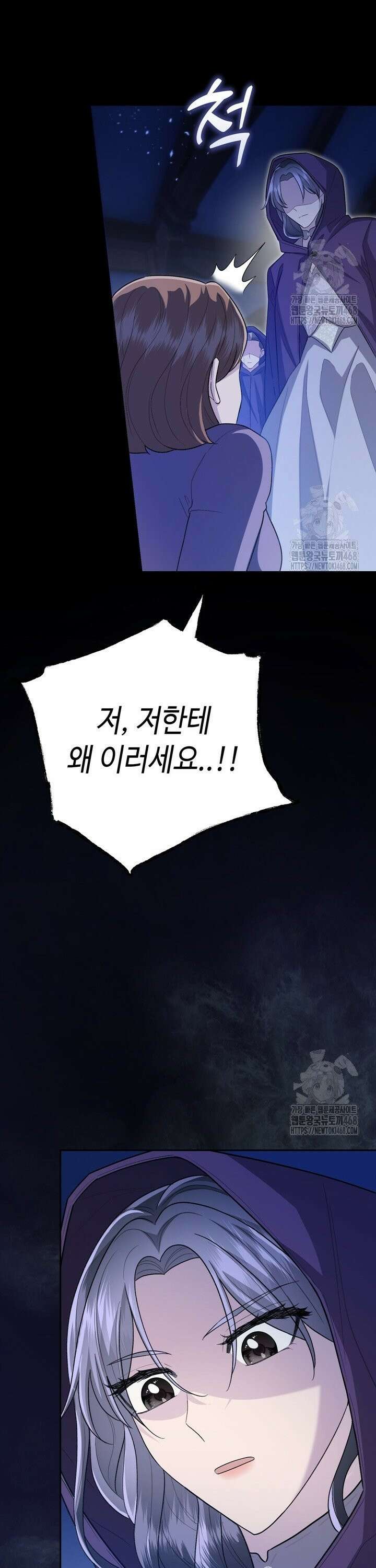 몰락한 왕녀에게는 회귀가 필요합니다 14화 21