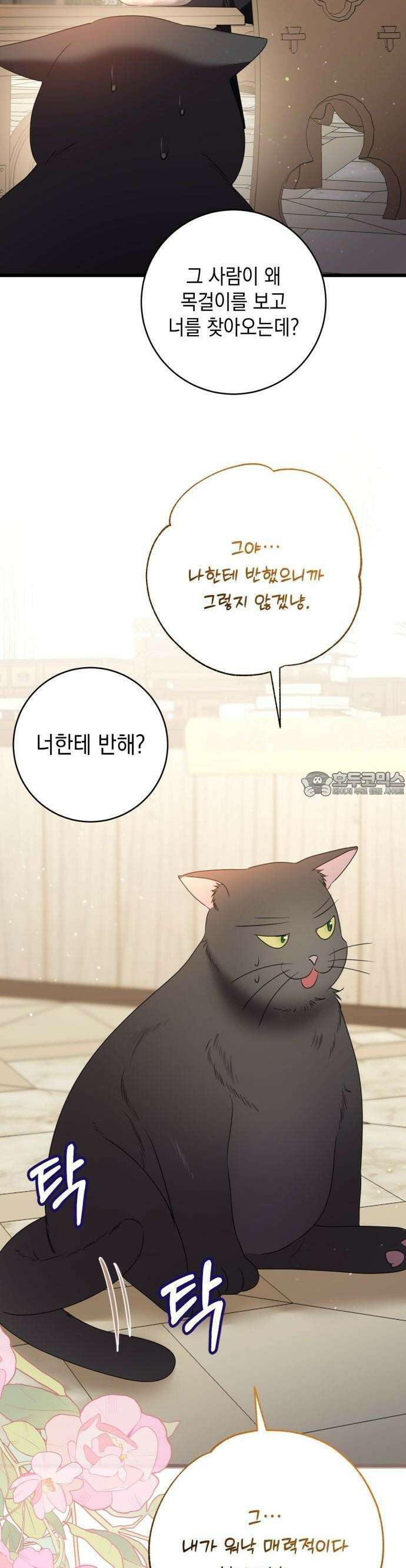 첫사랑은 원래 그런 법이랍니다, 전하 1화 70