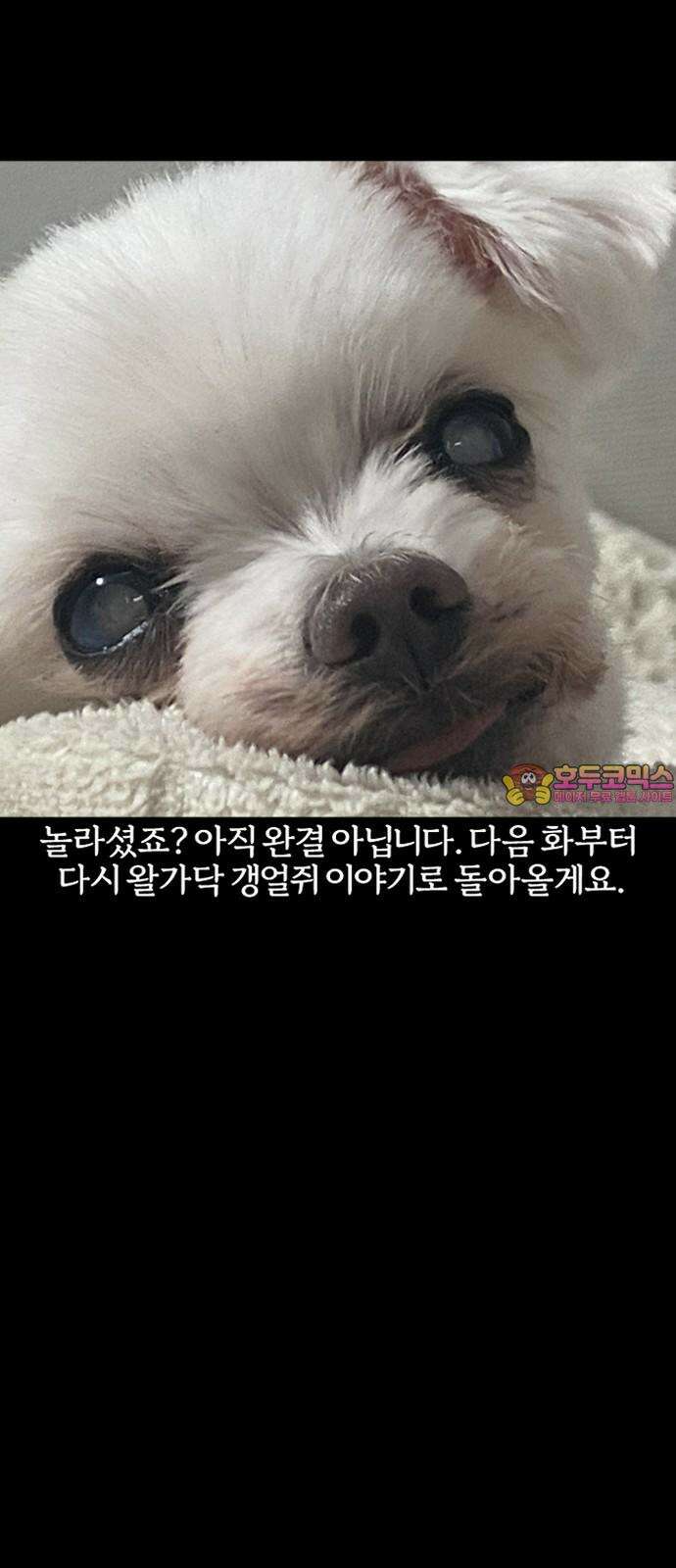 개집사 79화: 후회 21