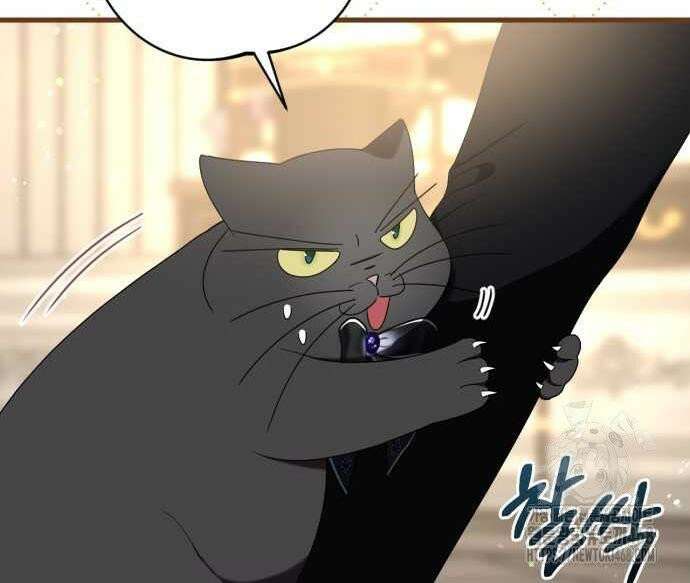 첫사랑은 원래 그런 법이랍니다, 전하 10화 142