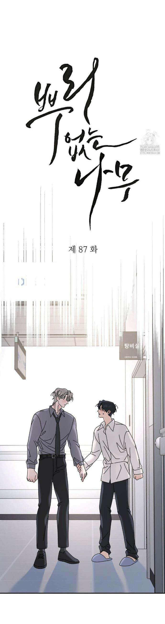 뿌리 없는 나무 87화 5