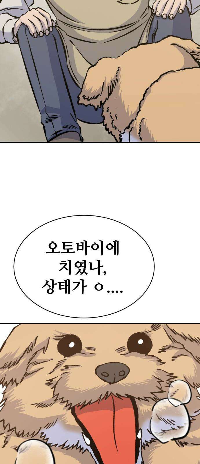 암살청과 53화 4