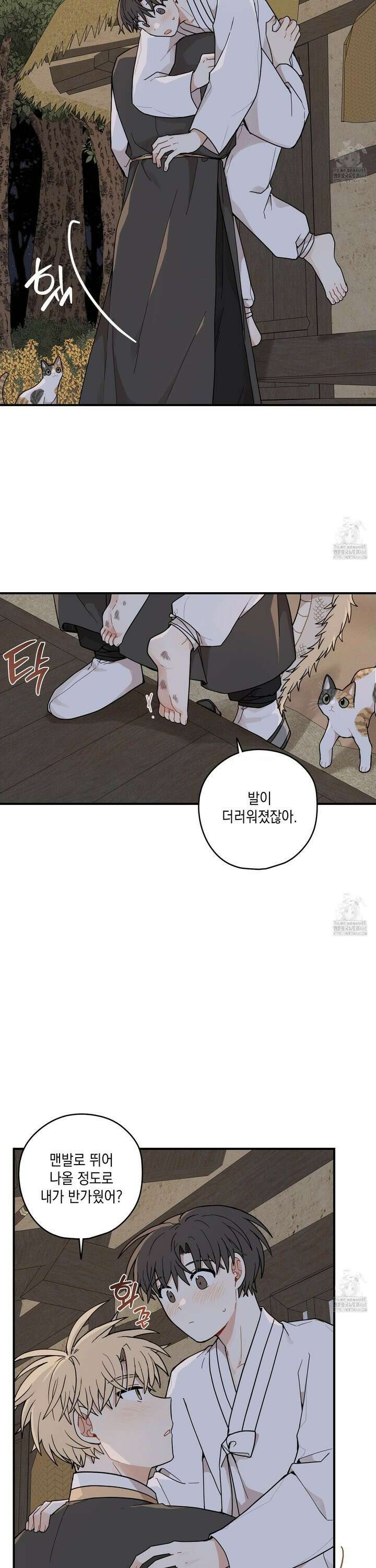 개나리가 떨어진 길 79화 4