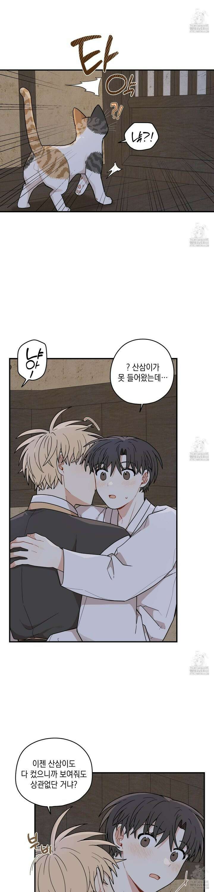 개나리가 떨어진 길 79화 6