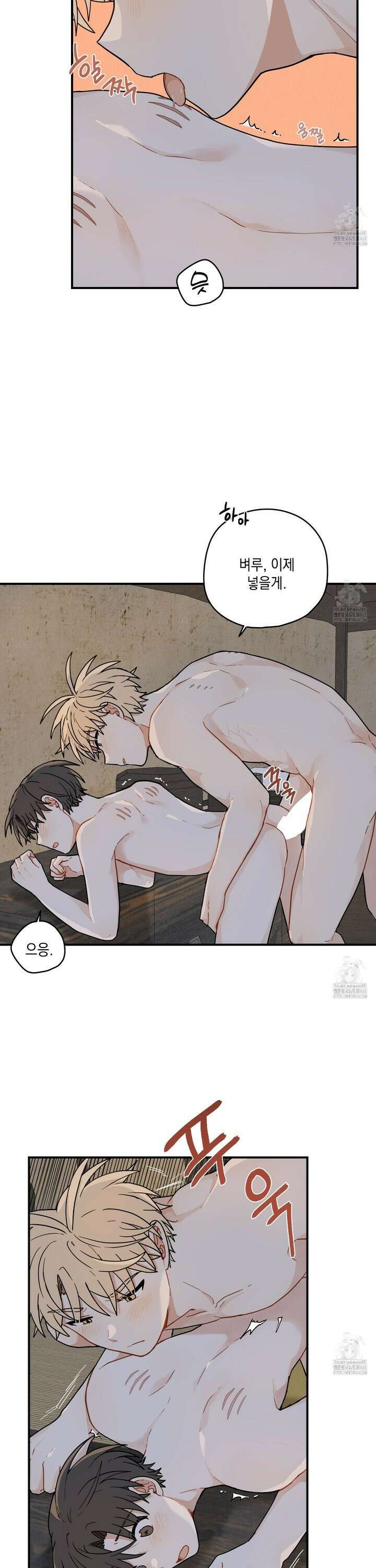 개나리가 떨어진 길 79화 27