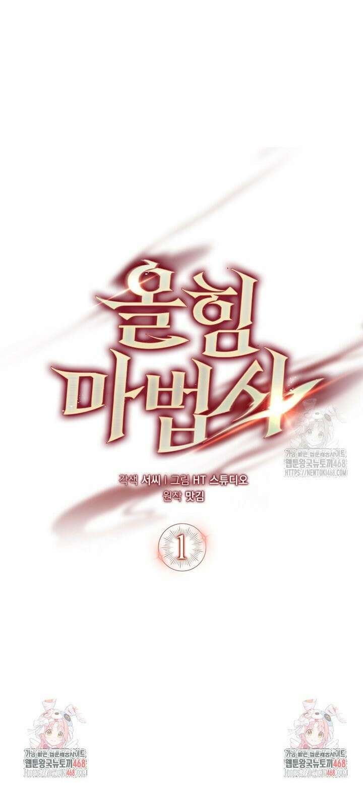 올 힘 마법사 65화 50