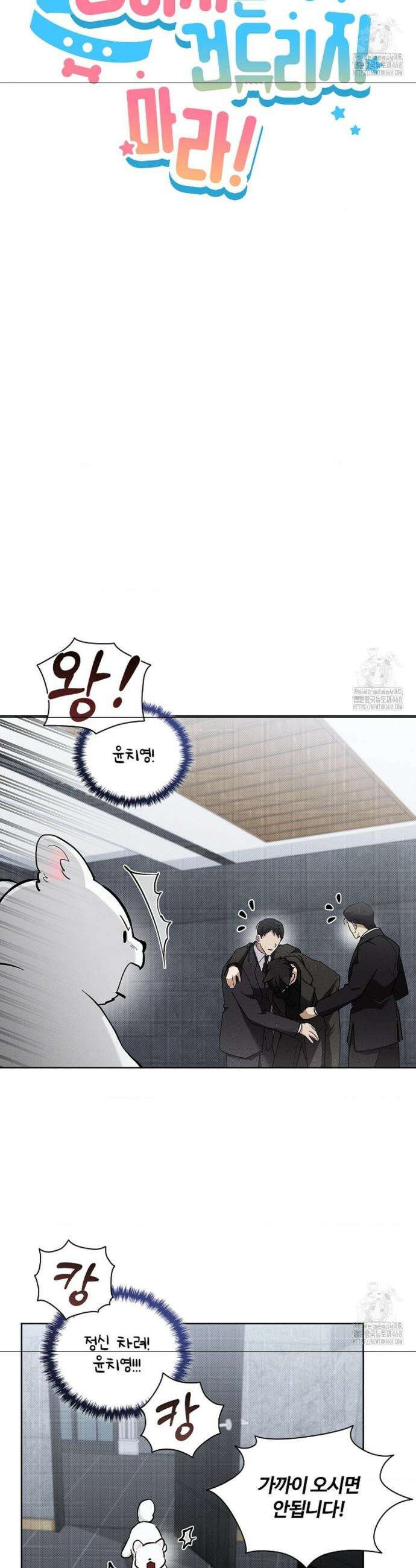 강아지는 건드리지 마라 40화 5
