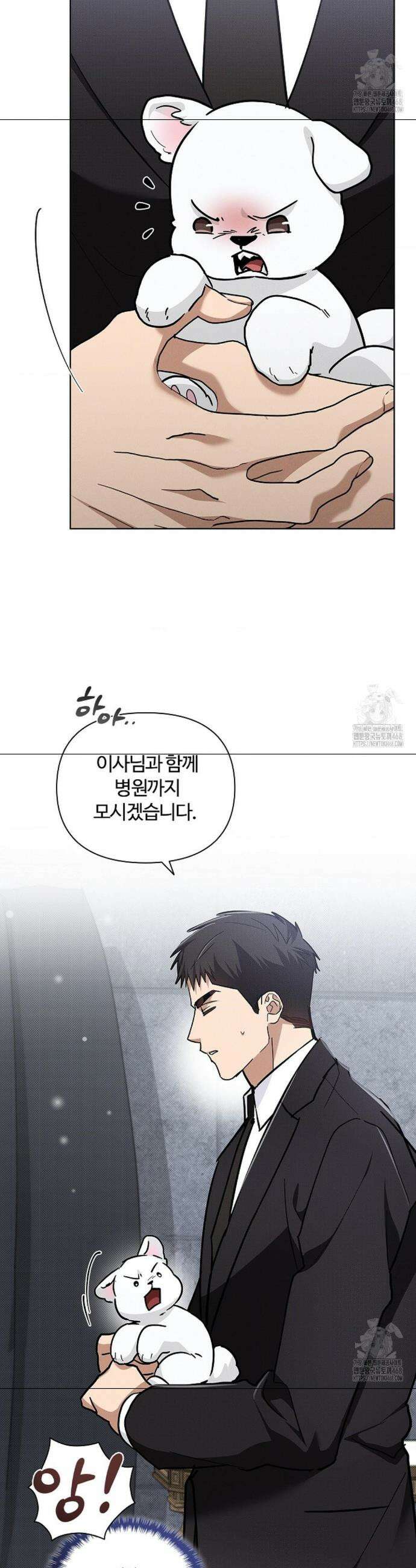 강아지는 건드리지 마라 40화 7