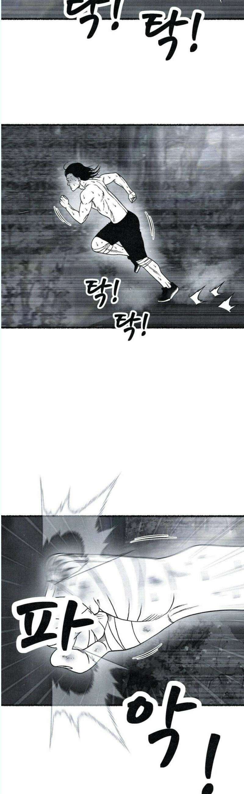 벌집 72화 25