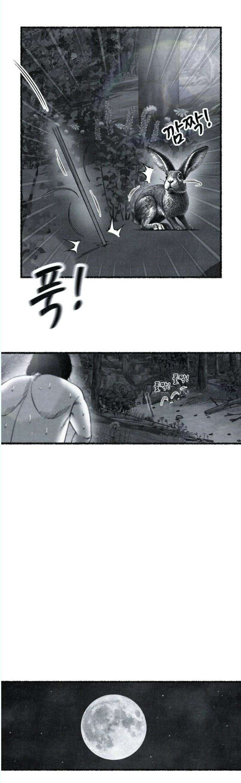 벌집 72화 29