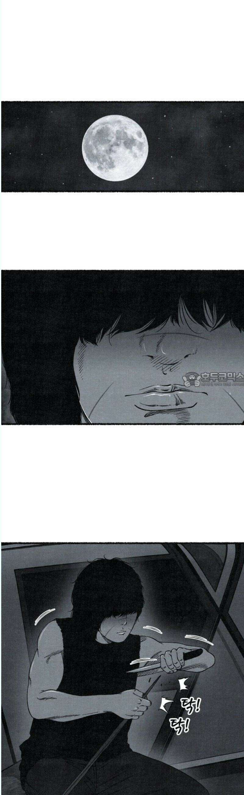 벌집 72화 43