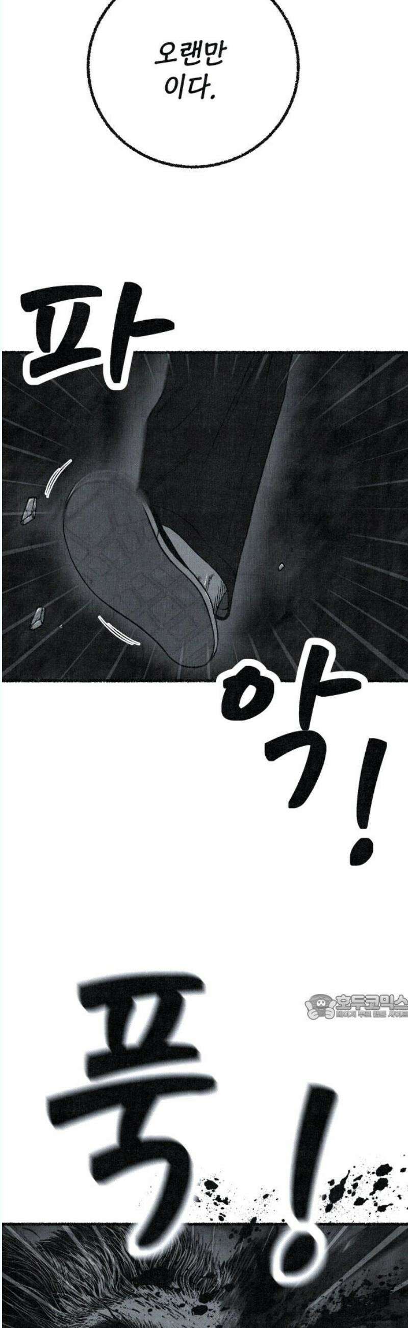 벌집 72화 47