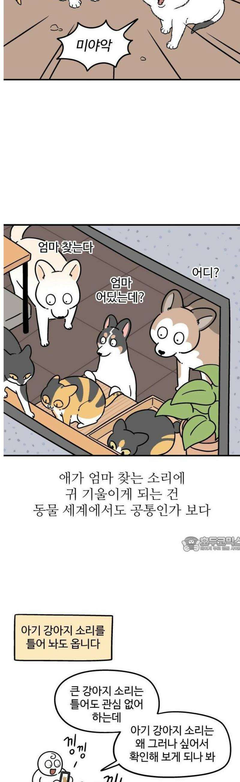 노곤하개 쇼츠 밖에서 나는 소리 3
