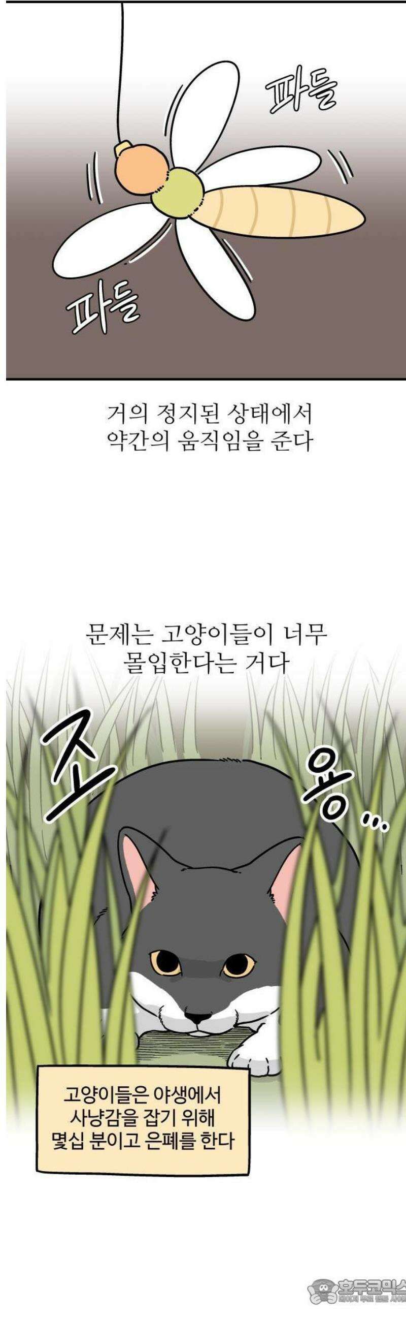 노곤하개 쇼츠 밖에서 나는 소리 7