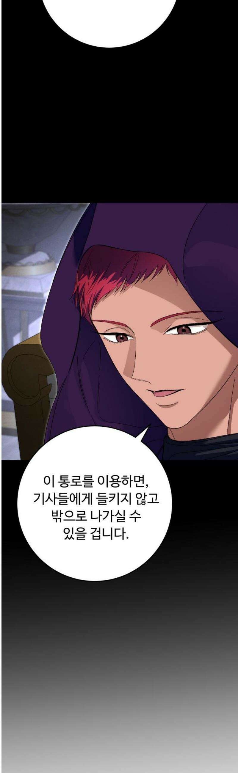 시간을 돌아온 황후의 납치 결혼 23화 46
