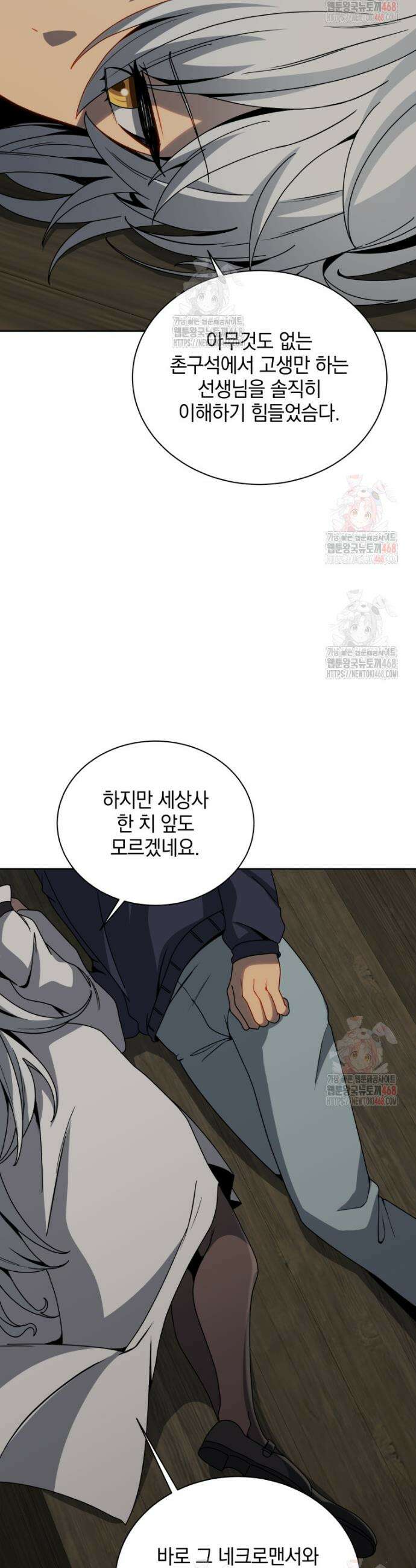 네크로맨서 학교의 소환천재 162화 48
