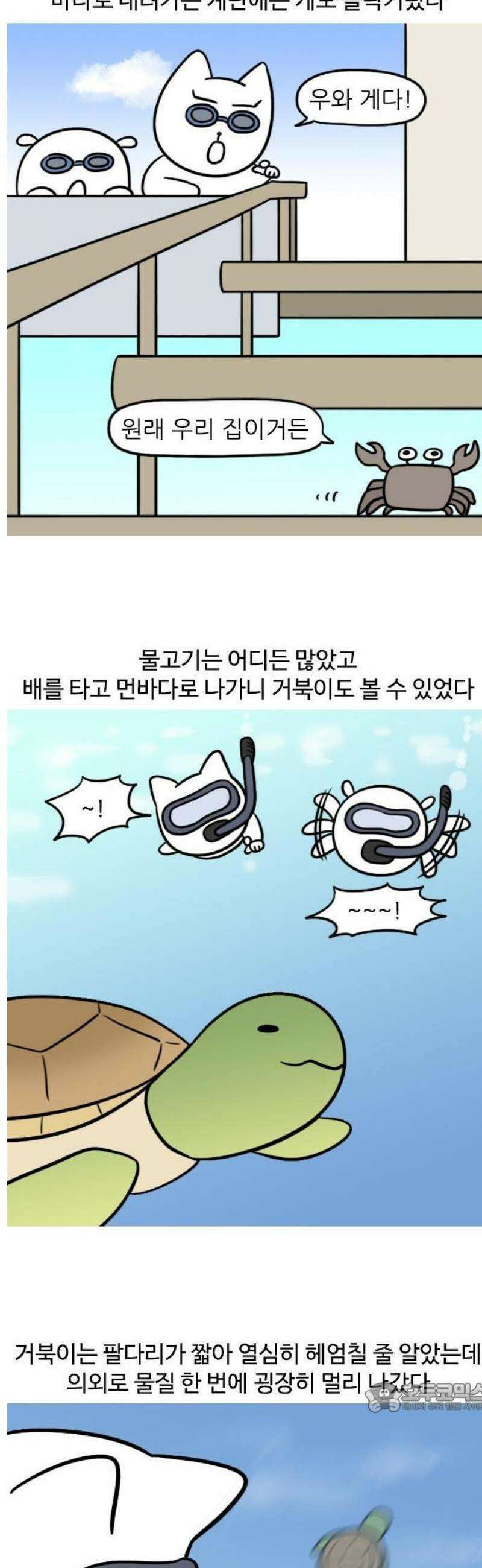 육아일기 31화 신혼여행(2) 3
