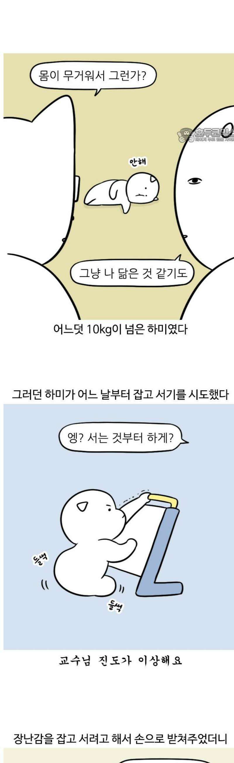 육아일기 114화 잡고 서기 2