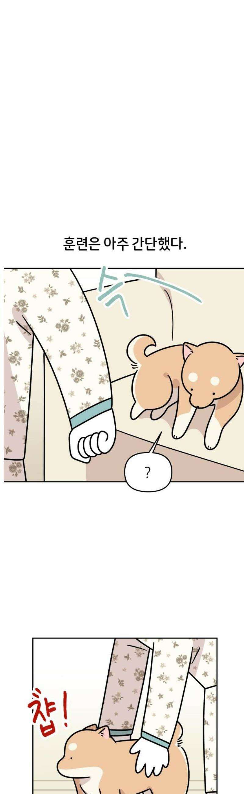 시바, 만만치 않다 47화 소파 쟁탈전 5
