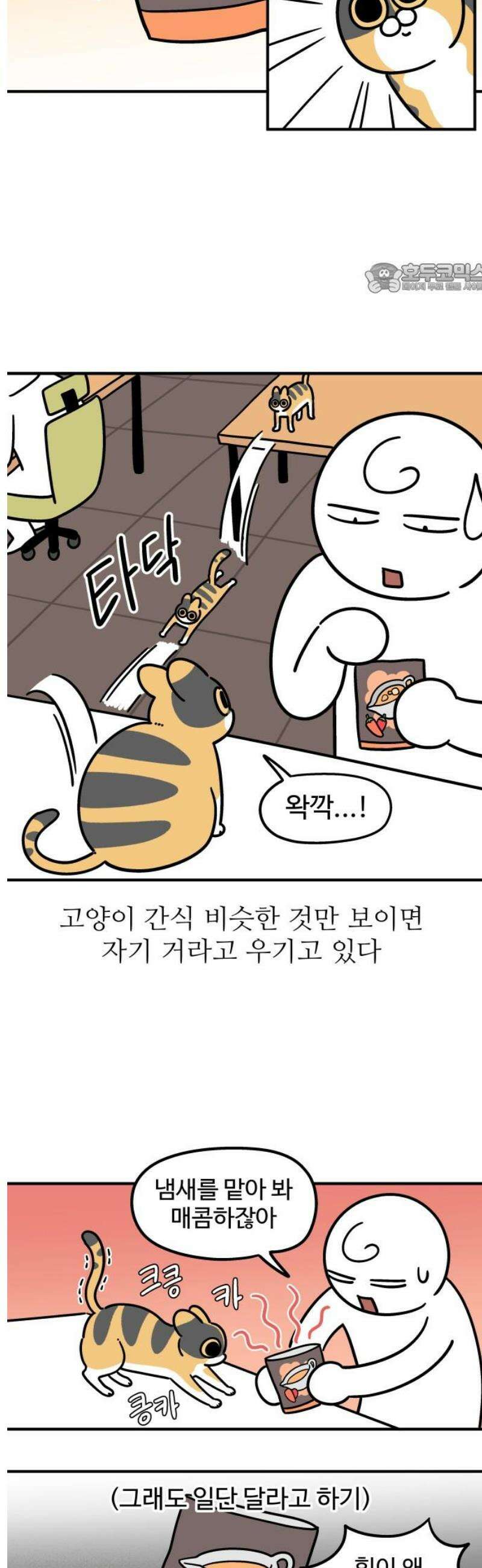 노곤하개 쇼츠 우겨본다 2