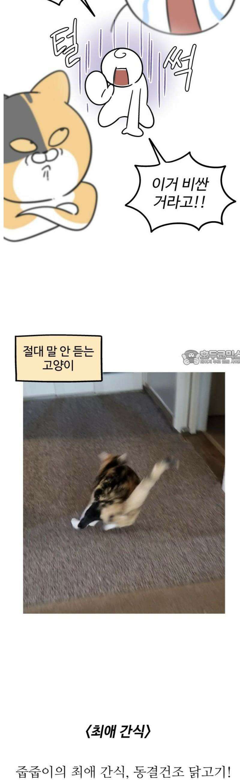 노곤하개 쇼츠 우겨본다 6