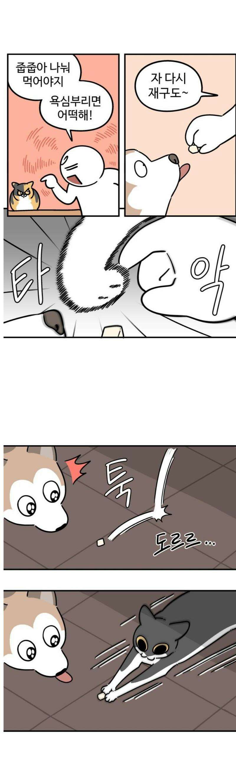 노곤하개 쇼츠 우겨본다 9