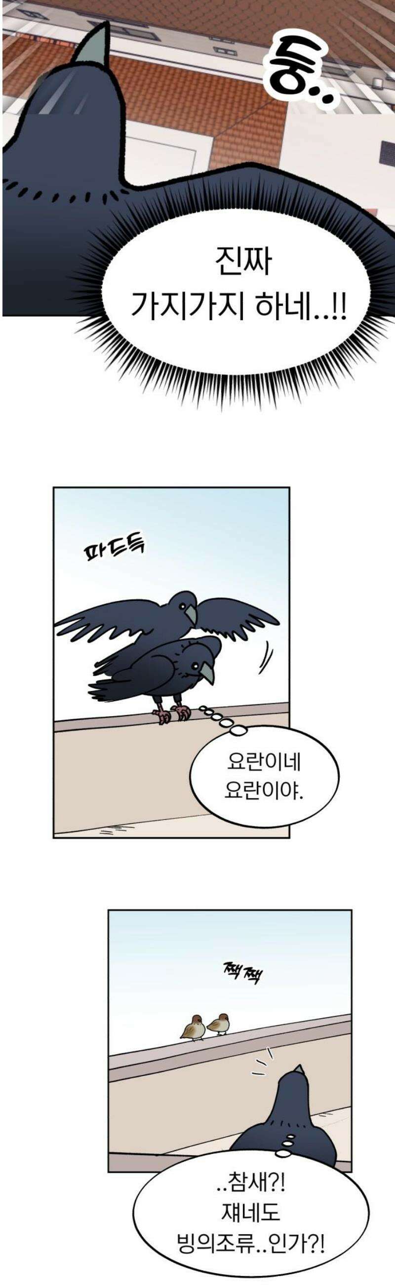 성북구 비둘기 이헌서 51화) vroom vroom 5