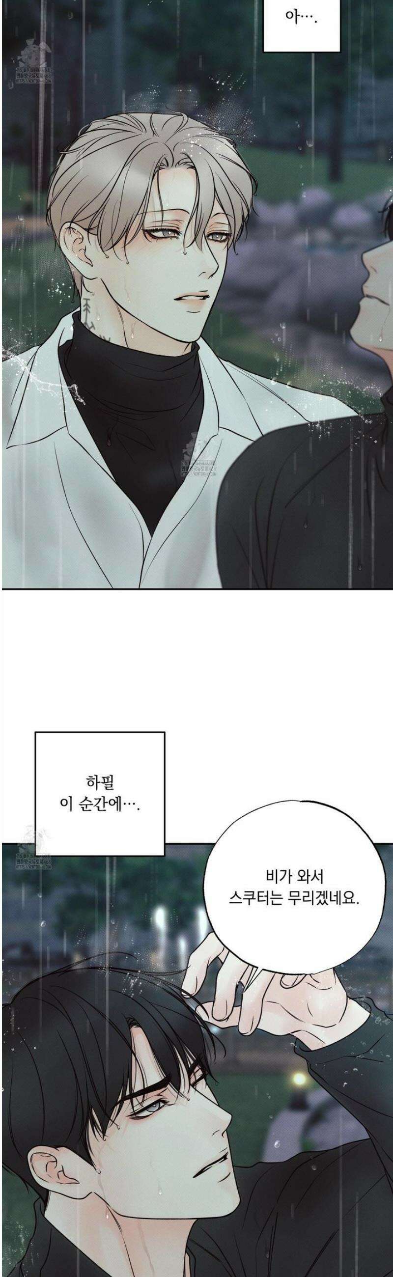 미혹의 경계 23화 41