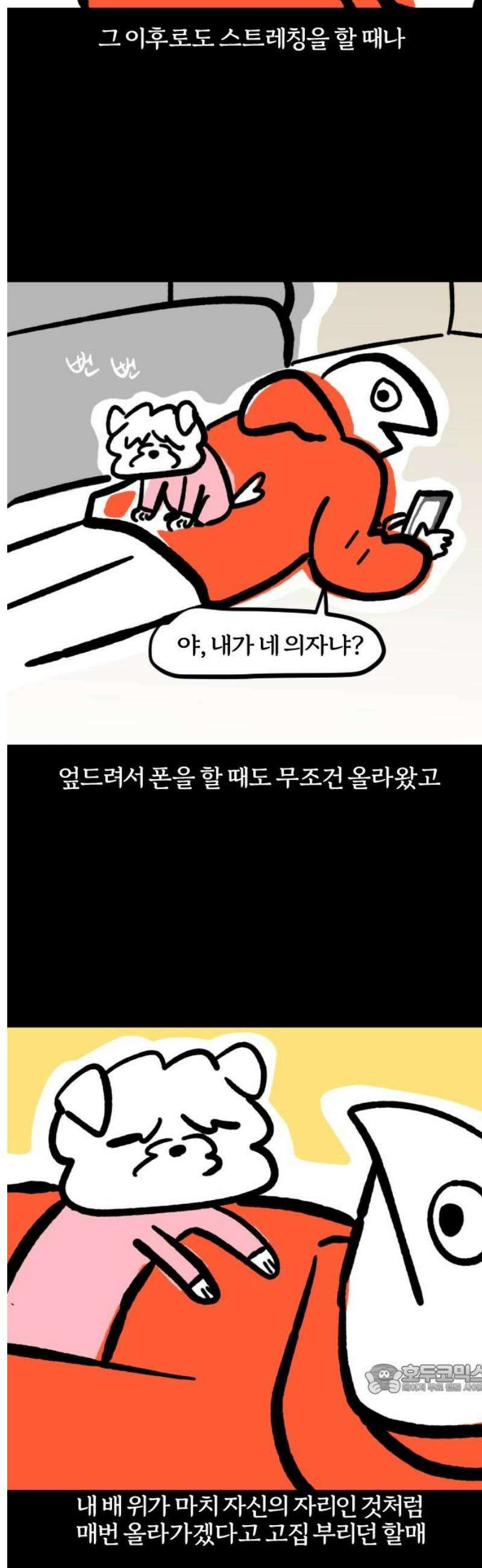개집사 93화: 전용 침대 12