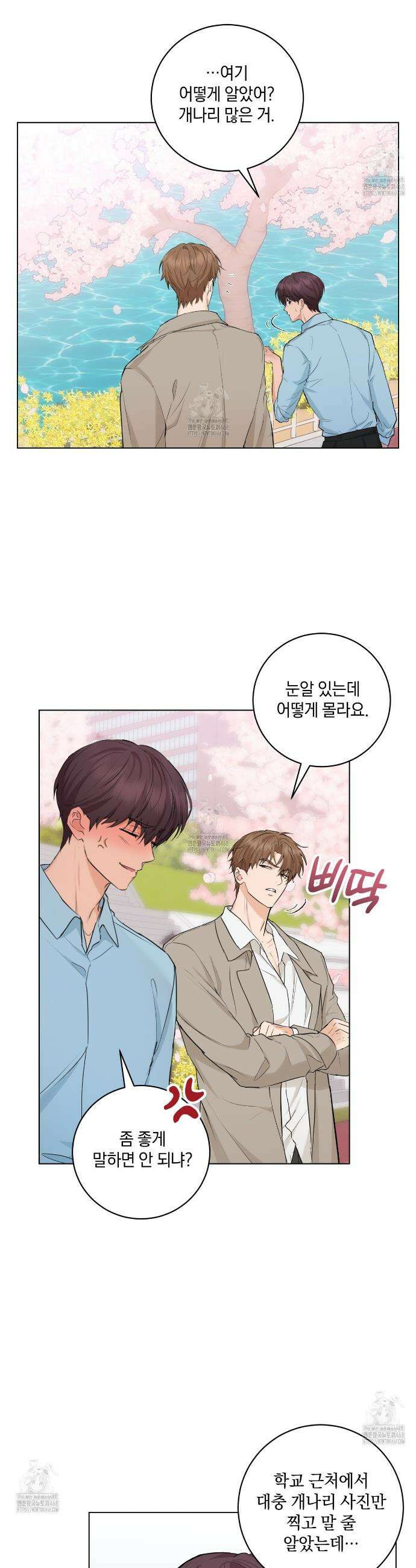 민트사탕러브 13화 3